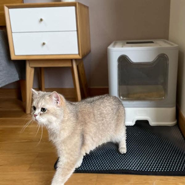 Cat Litter Mat