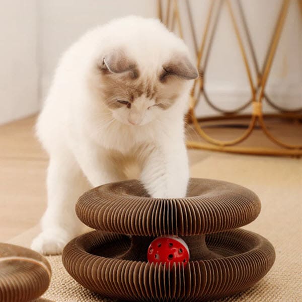 Cat Scratcher Toy