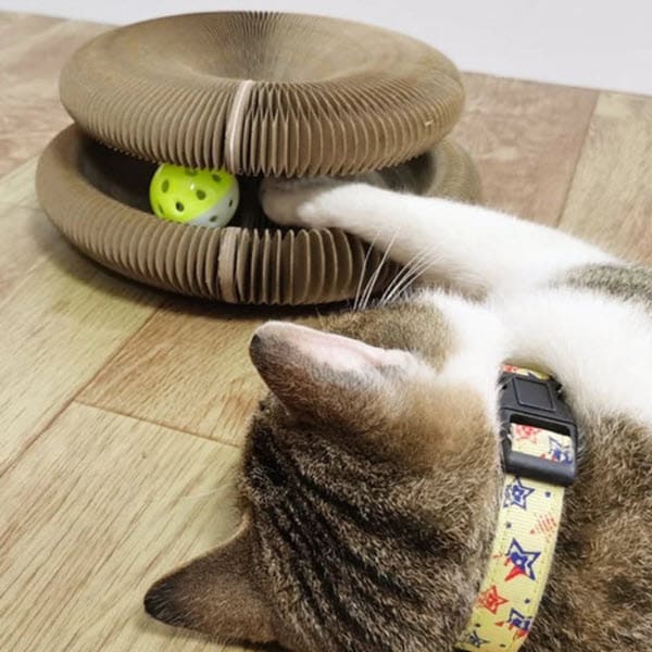 Cat Scratcher Toy