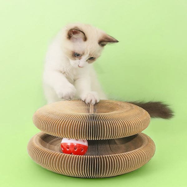Cat Scratcher Toy