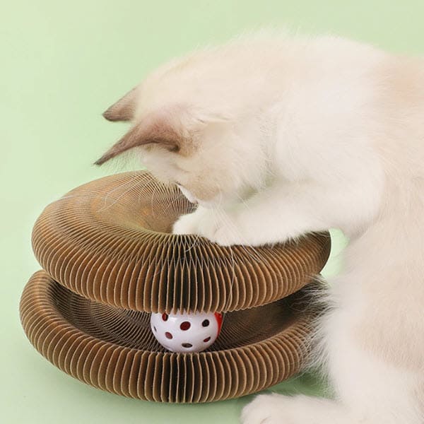 Cat Scratcher Toy