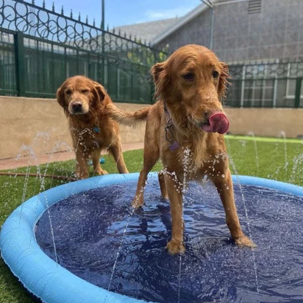 Dog Sprinkler Pad (59 Inch)