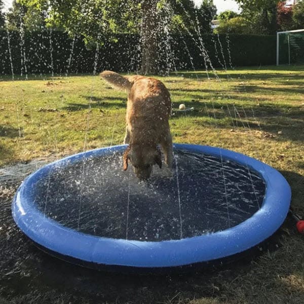 Dog Sprinkler Pad (59 Inch)