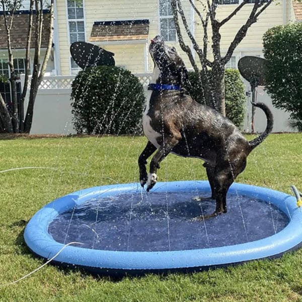 Dog Sprinkler Pad (59 Inch)
