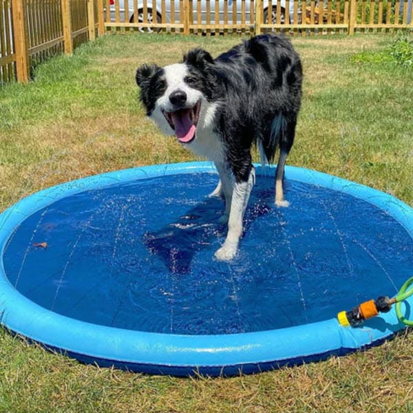 Dog Sprinkler Pad (59 Inch)