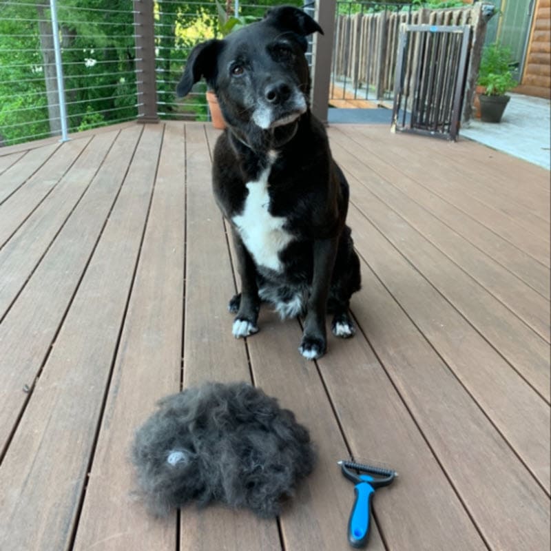 Pet Deshedding Brush