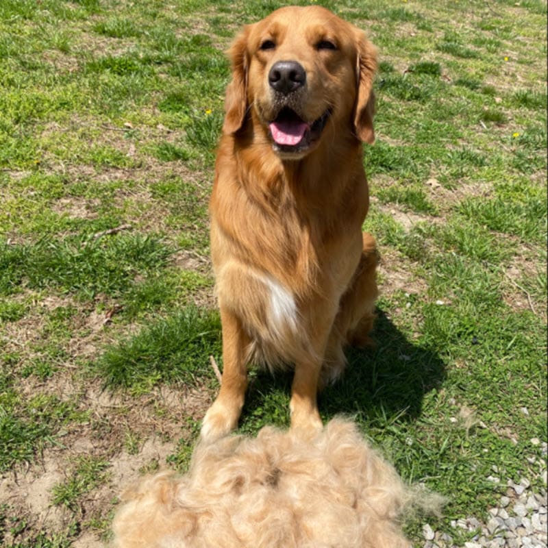 Pet Deshedding Brush