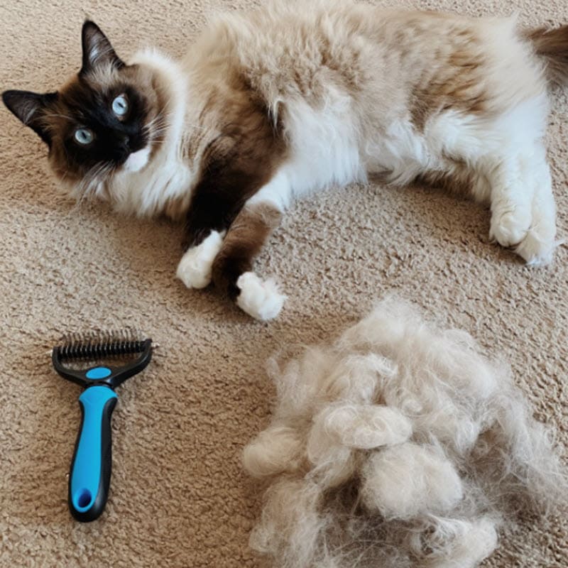 Pet Deshedding Brush