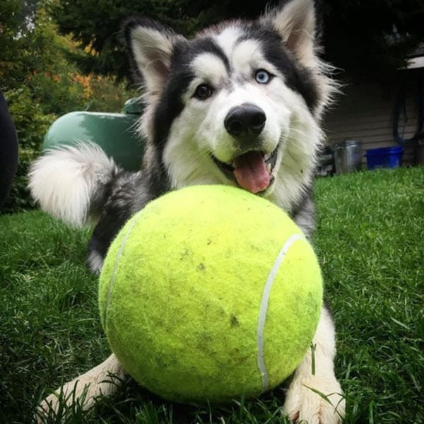 Monster Tennis Ball