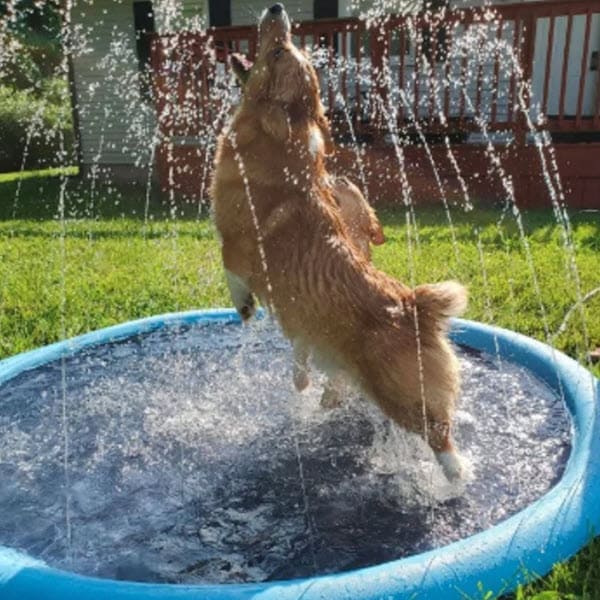 Dog Sprinkler Pad (59 Inch)