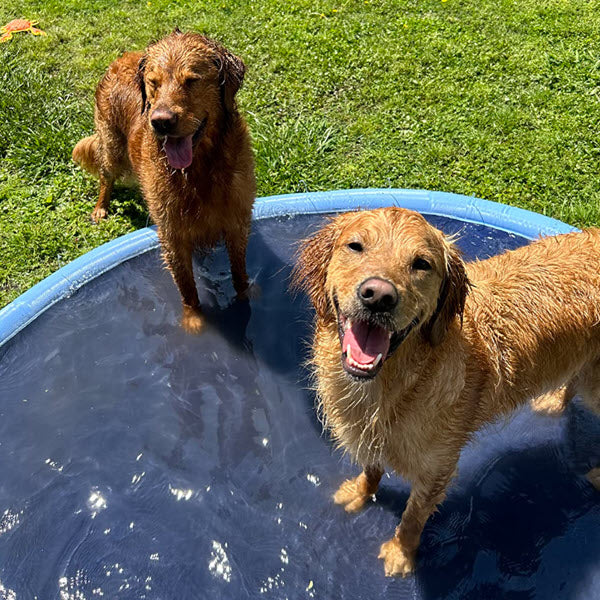 Dog Sprinkler Pad (59 Inch)